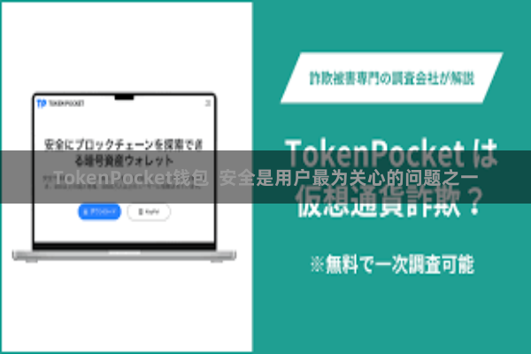 TokenPocket钱包 安全是用户最为关心的问题之一
